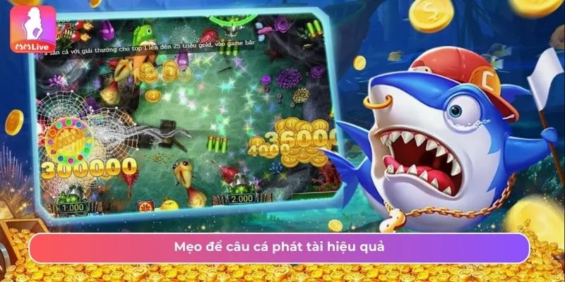 Mẹo để câu cá phát tài hiệu quả