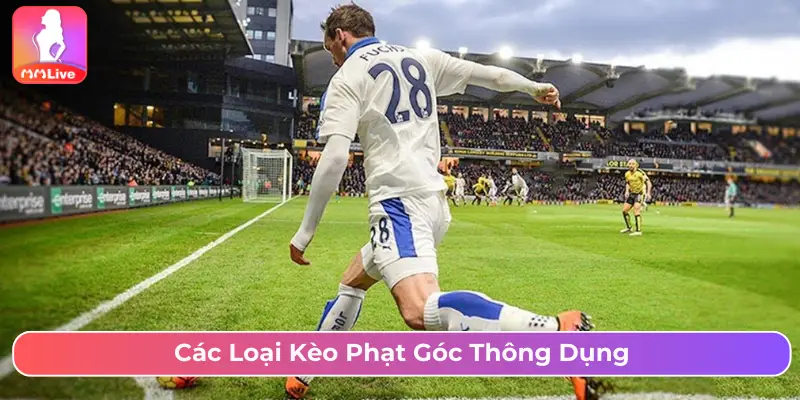 Các loại kèo phạt góc thông dụng