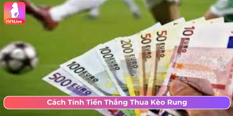 Cách tính tiền thắng thua kèo rung