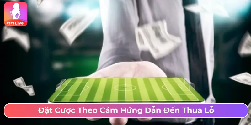 Đặt cược theo cảm hứng dẫn đến thua lỗ
