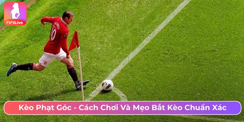 Kèo phạt góc - Cách chơi và mẹo bắt kèo chuẩn xác