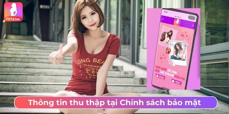 Chính Sách Bảo Mật MMLive Và Cam Kết Dữ Liệu Người Dùng Thông tin thu thập tại Chính sách bảo mật