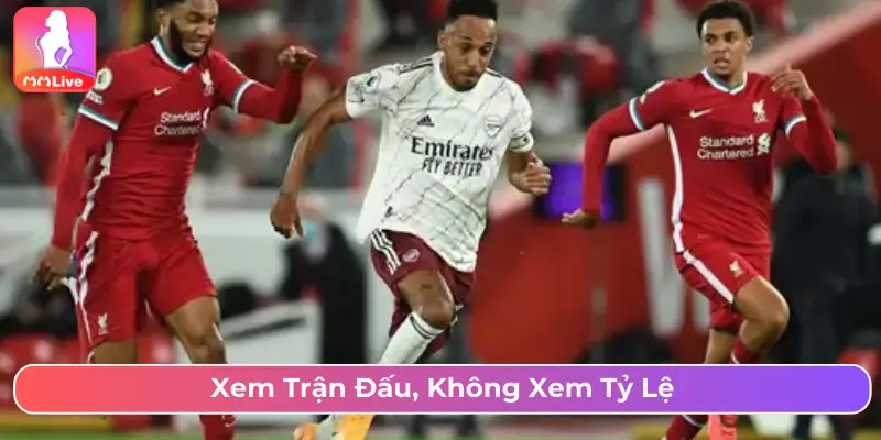 Xem trận đấu, không xem tỷ lệ