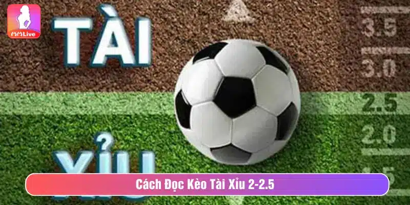 Kèo Tài Xỉu 2-2.5 Là Gì? Bí Kíp Soi Kèo Thắng Lớn Tại MMLive Cách đọc kèo Tài xỉu 2-2.5