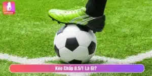 Kèo chấp 0.5/1 là gì?
