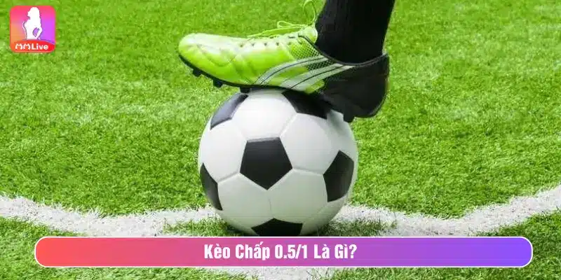 Kèo Chấp 0.5/1 Là Gì? Cách Đọc Kèo Bóng Đá Dễ Hiểu Nhất Kèo chấp 0.5/1 là gì?