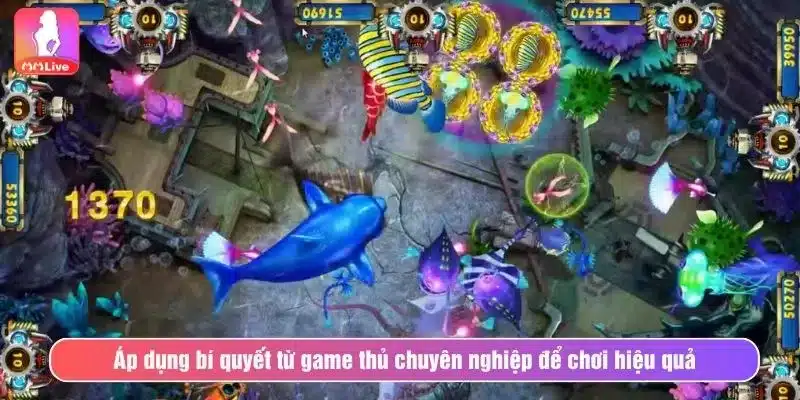 Bắn Cá Rùa Vàng Tại MMlive - Săn Jackpot Khủng Mỗi Ngày Áp dụng bí quyết từ game thủ chuyên nghiệp để chơi hiệu quả