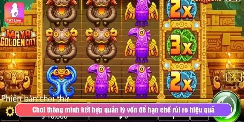 Nổ Hũ Thành Phố Vàng Maya - Khám Phá Kho Báu Huyền Thoại Chơi thông minh kết hợp quản lý vốn để hạn chế rủi ro hiệu quả