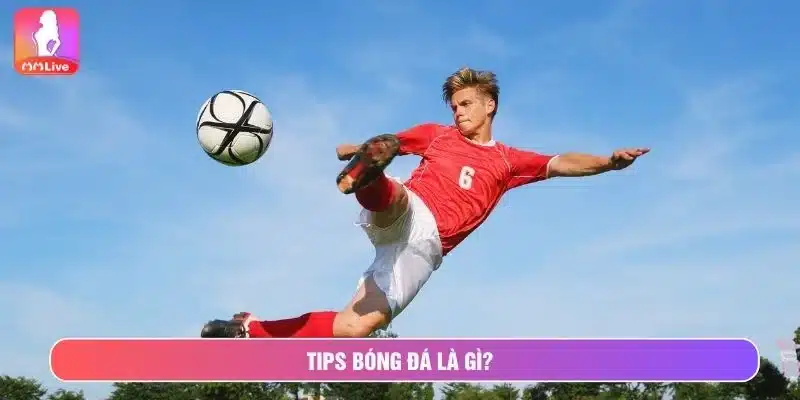 Giải nghĩa chi tiết tips bóng đá là gì