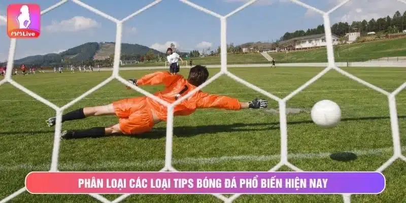 Hiểu tips bóng đá là gì giúp bạn lựa chọn loại phù hợp