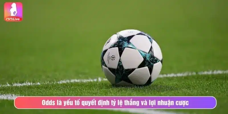 Odds là yếu tố quyết định tỷ lệ thắng và lợi nhuận cược