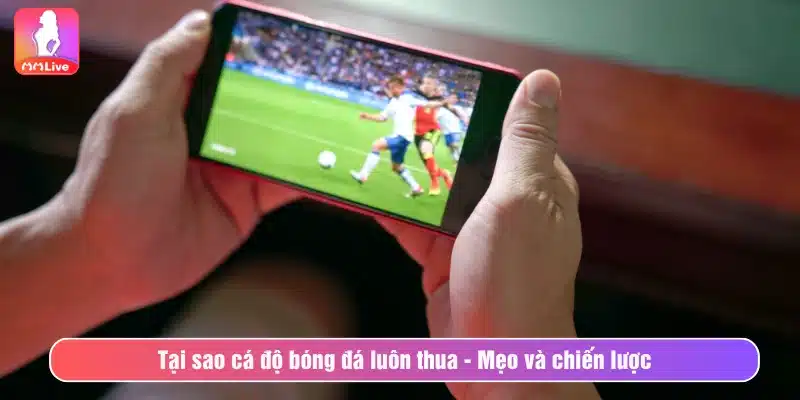 Tại sao cá độ bóng đá luôn thua - Mẹo và chiến lược