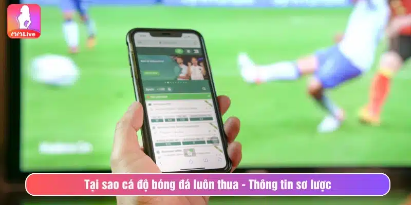 Tại sao cá độ bóng đá luôn thua - Thông tin sơ lược