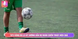 tips bóng đá là gì