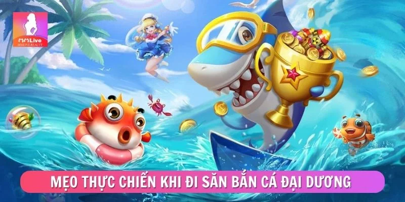 Bắn Cá Đại Dương - Toàn Bộ Kinh Nghiệm Cần Biết Khi Chơi Mẹo thực chiến khi đi săn bắn cá đại dương