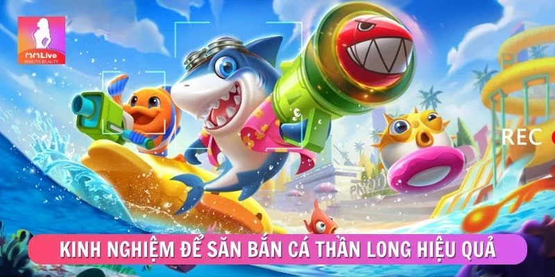 Bắn Cá Thần Long - Mẹo Chơi Thông Minh Dễ Ghi Điểm Kinh nghiệm thực tế để săn bắn cá Thần Long hiệu quả