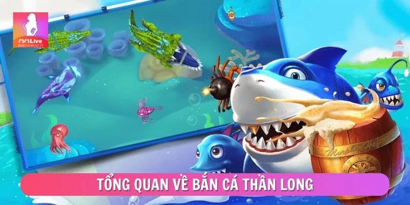 Bắn Cá Thần Long - Mẹo Chơi Thông Minh Dễ Ghi Điểm Tổng quan về bắn cá Thần Long