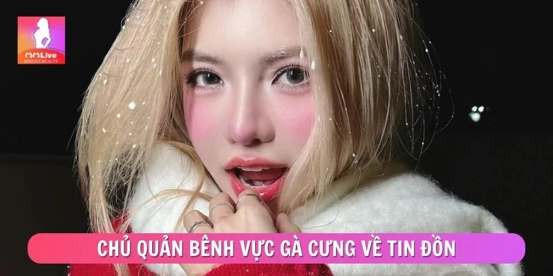 Chủ quản bênh vực gà cưng về tin đồn CiiN lộ điểm nhạy cảm