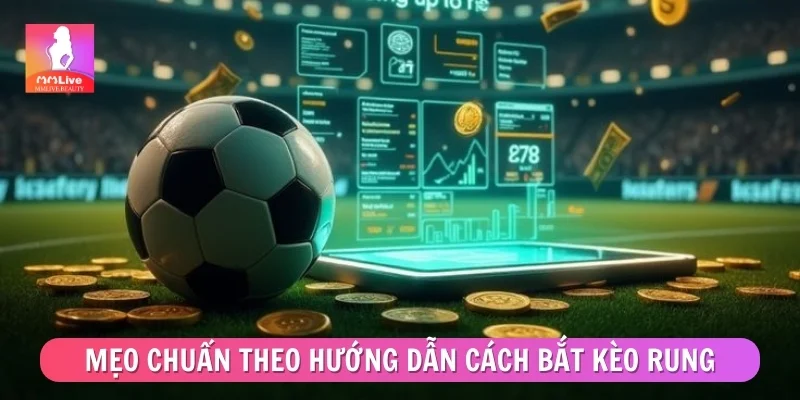 Mẹo cược chuẩn theo bộ hướng dẫn cách bắt kèo rung