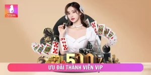 Ưu Đãi Thành Viên Vip - Cơ Chế Xét Thưởng Cho Hội Viên
