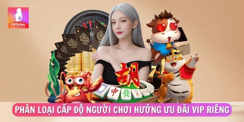 Phân loại cấp độ người chơi hưởng ưu đãi VIP riêng