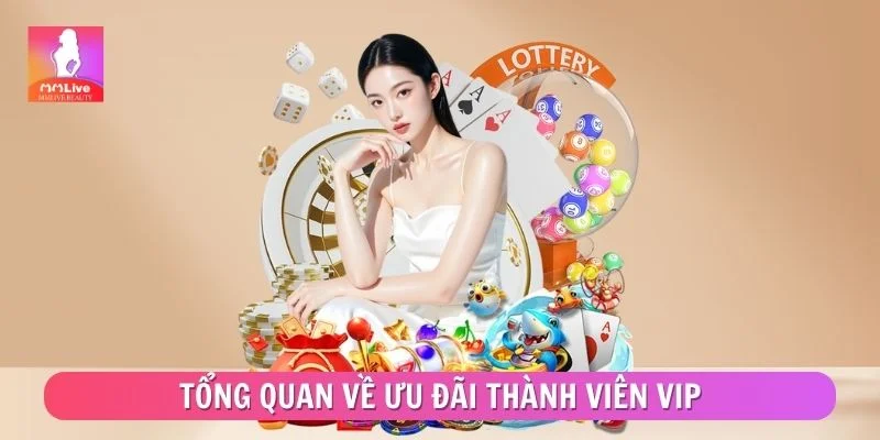 Tổng quan về ưu đãi thành viên VIP