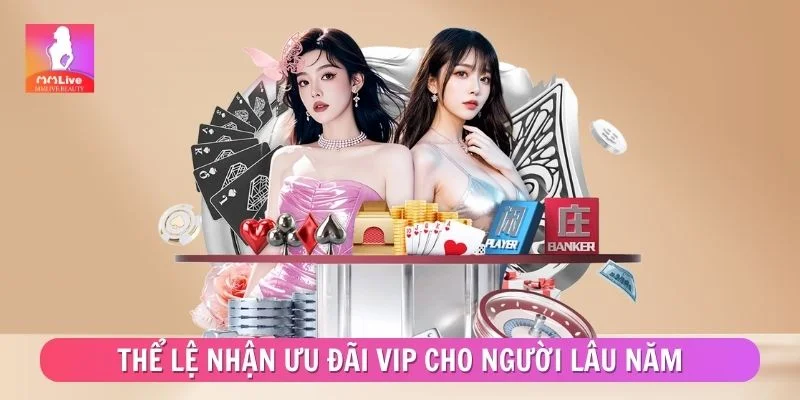 Thể lệ nhận ưu đãi thành viên VIP cho người lâu năm